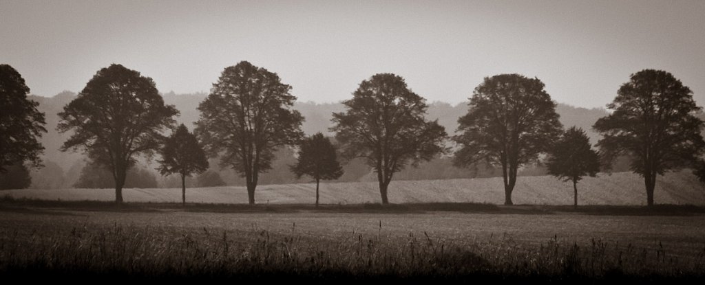 Landschaftslinien...